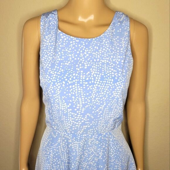Forever 21 Light Blue & White Print Fit & Flare Dress - Picture 3 of 12